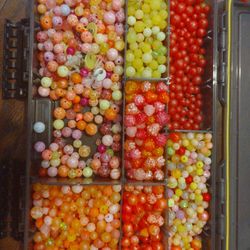 Fishing Beads 