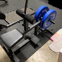 Calf Raise And Two 45 Lb Bumper Plates