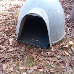 Used Small Dog Igloo Read The Full Description Below 👇👇👇👇👇👇