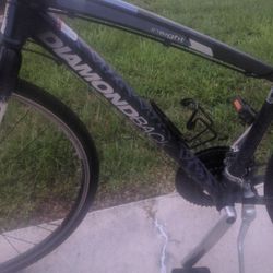 Diamondback Insight Bike