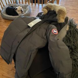 Canada Goose Women's Coat Assess Sp Brand New