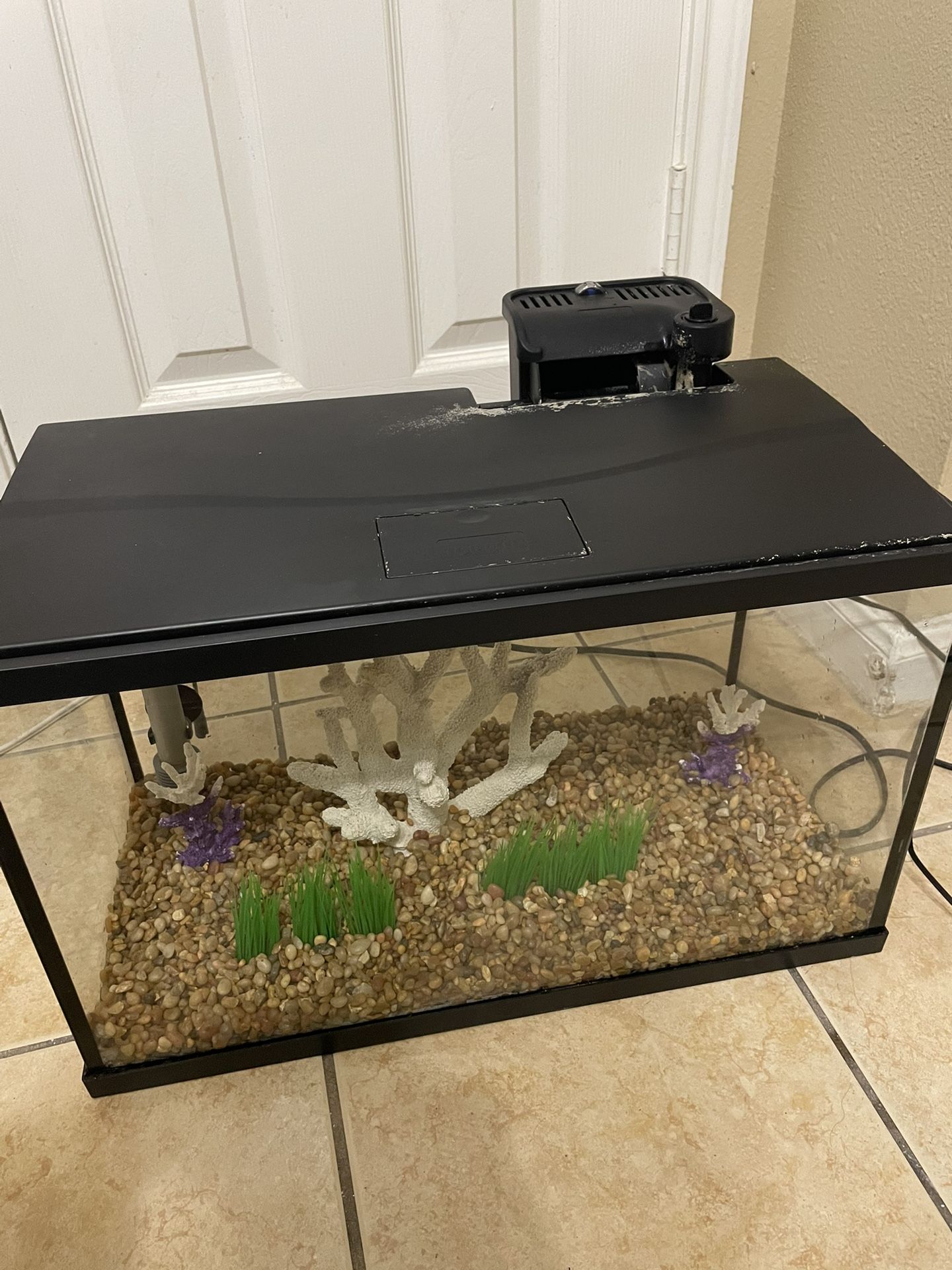 20 Gallon Tank