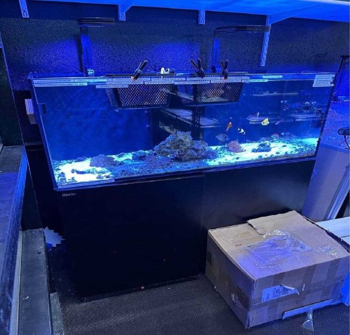 huge marriage High-Quality Aquarium System - Premium Standard Choice