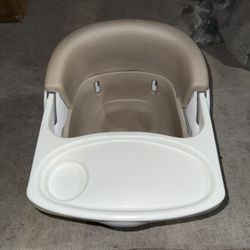 Ingenuity Infant Seat 