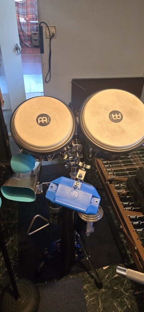 Bongos 