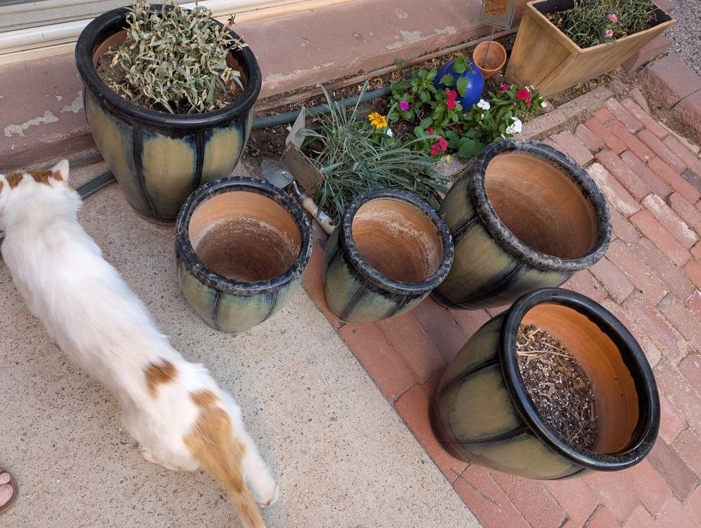 Set Of 5 Green Planters