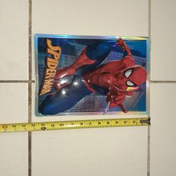 Spiderman Metal Picture 