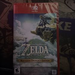 Zelda tears of the kingdom NS2