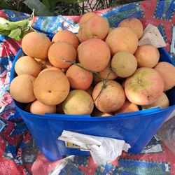 Toronjas Rojas Por Dentro dulses