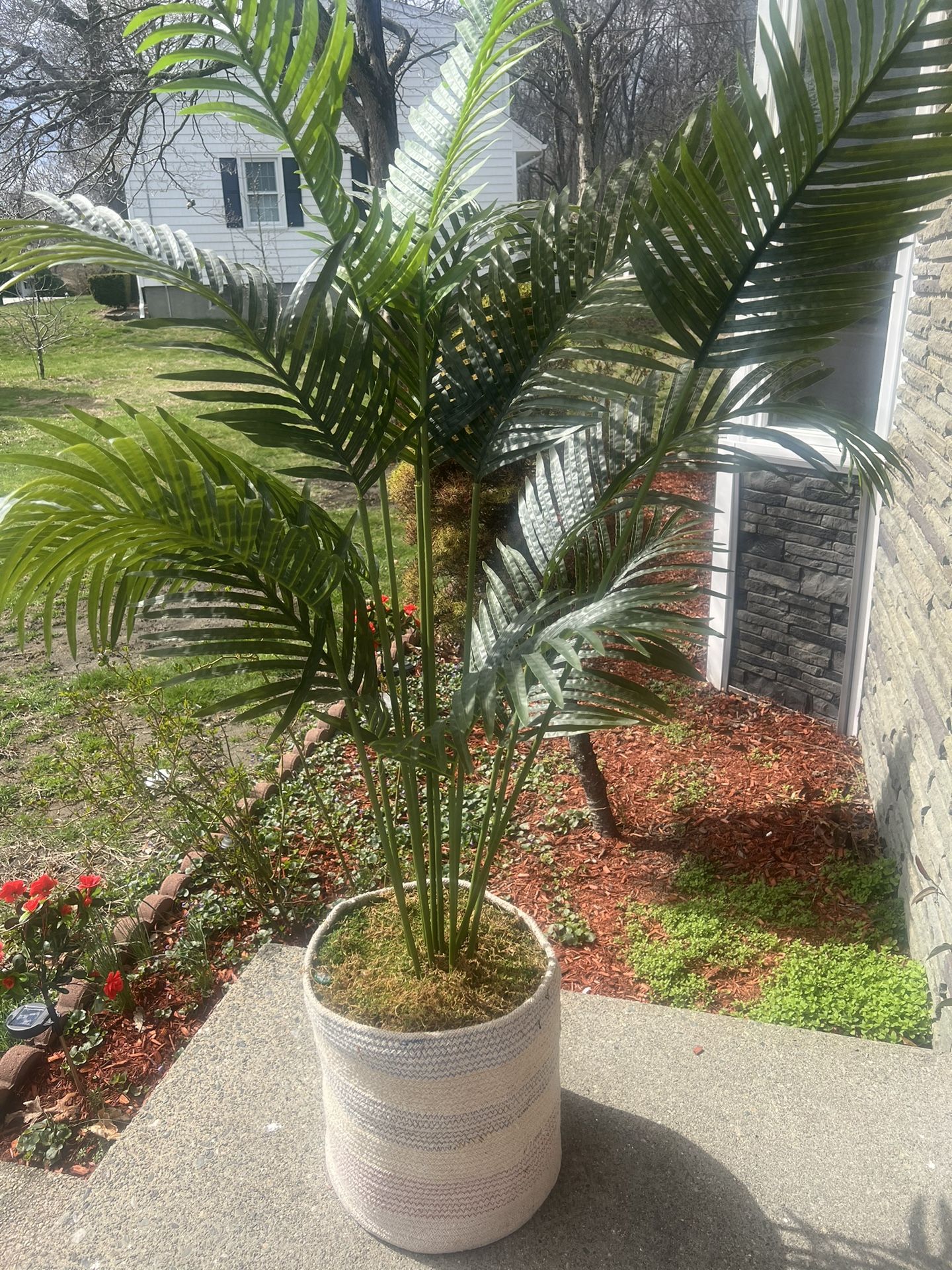 Artificial Plant