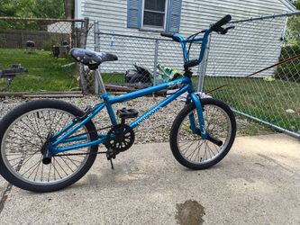 Teal mongoose fling