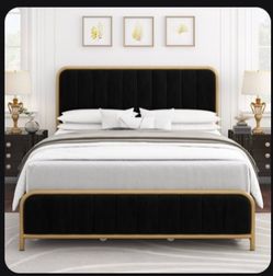 Used Gold & Black Velvet Queen Bedframe