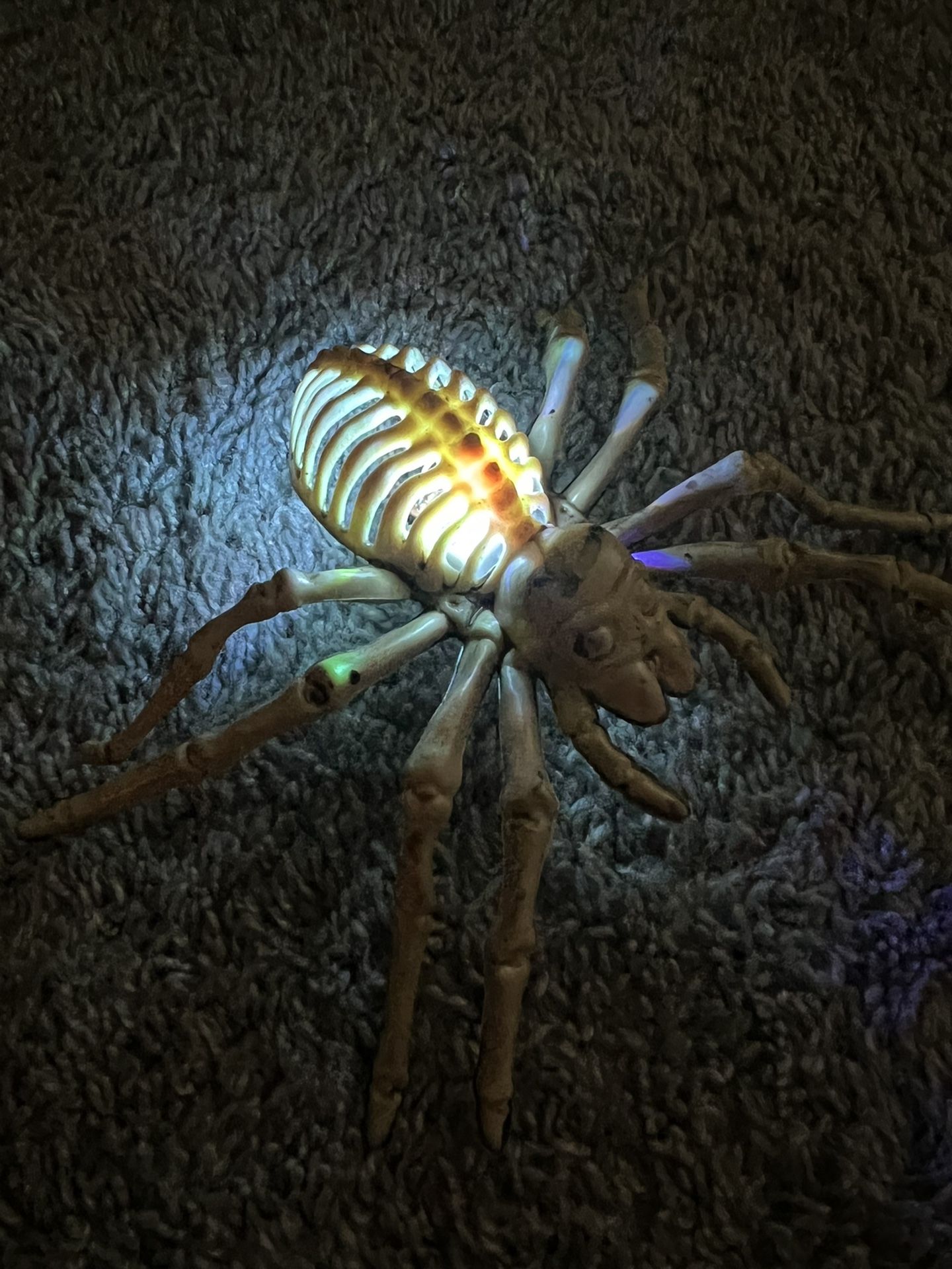Halloween Decorations LED Spider 