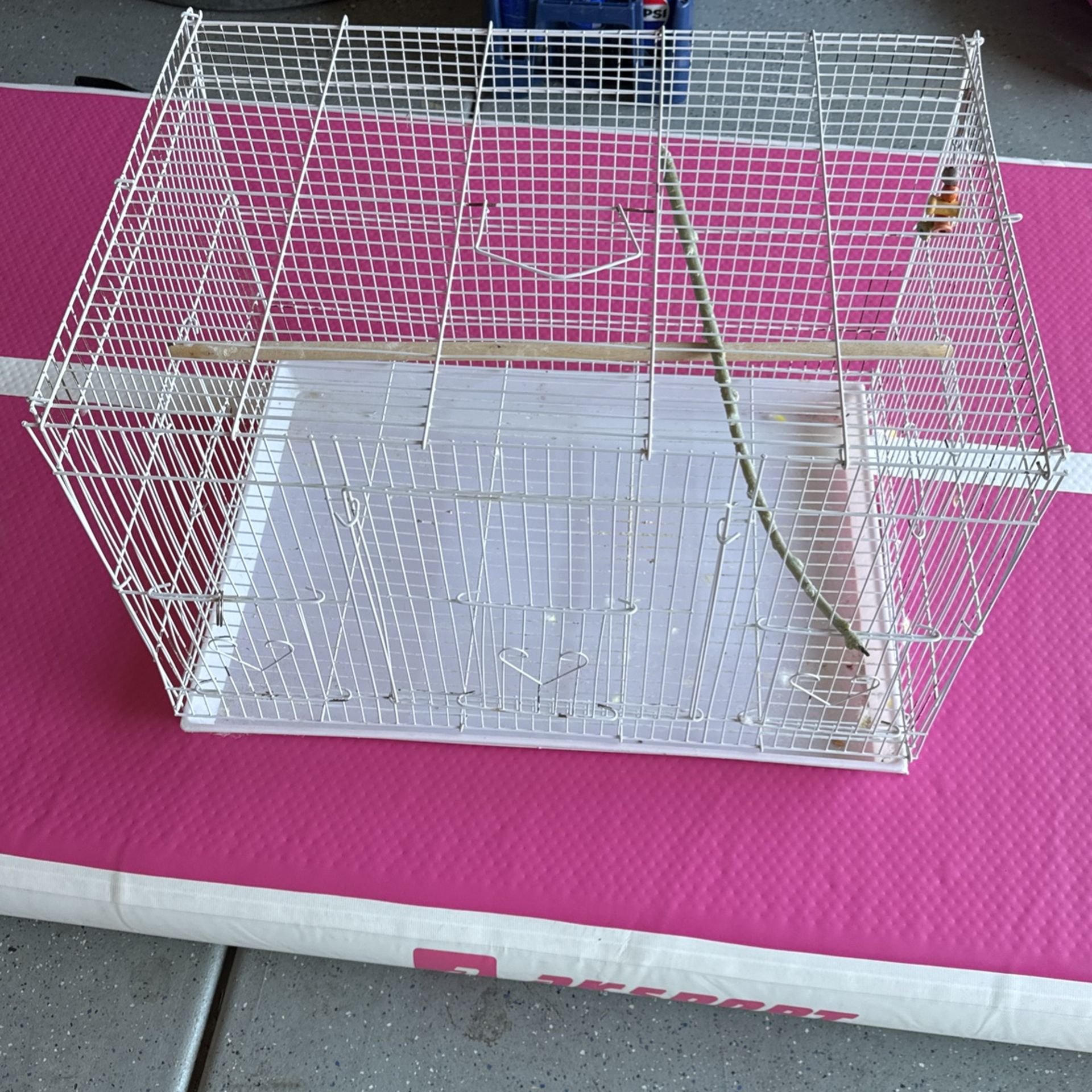 Bird Cage