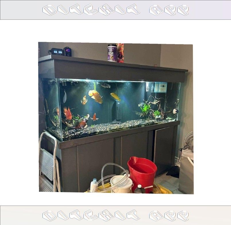 Elite Aquarium Setup - First-Class Quality nature support