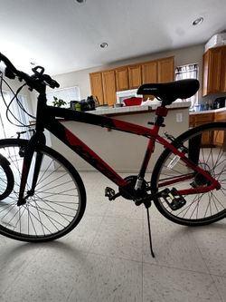 Spinfoot700c Bike