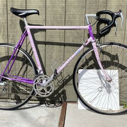 59cm Nishiki Sport Series Prestige Made In Japan 🇯🇵