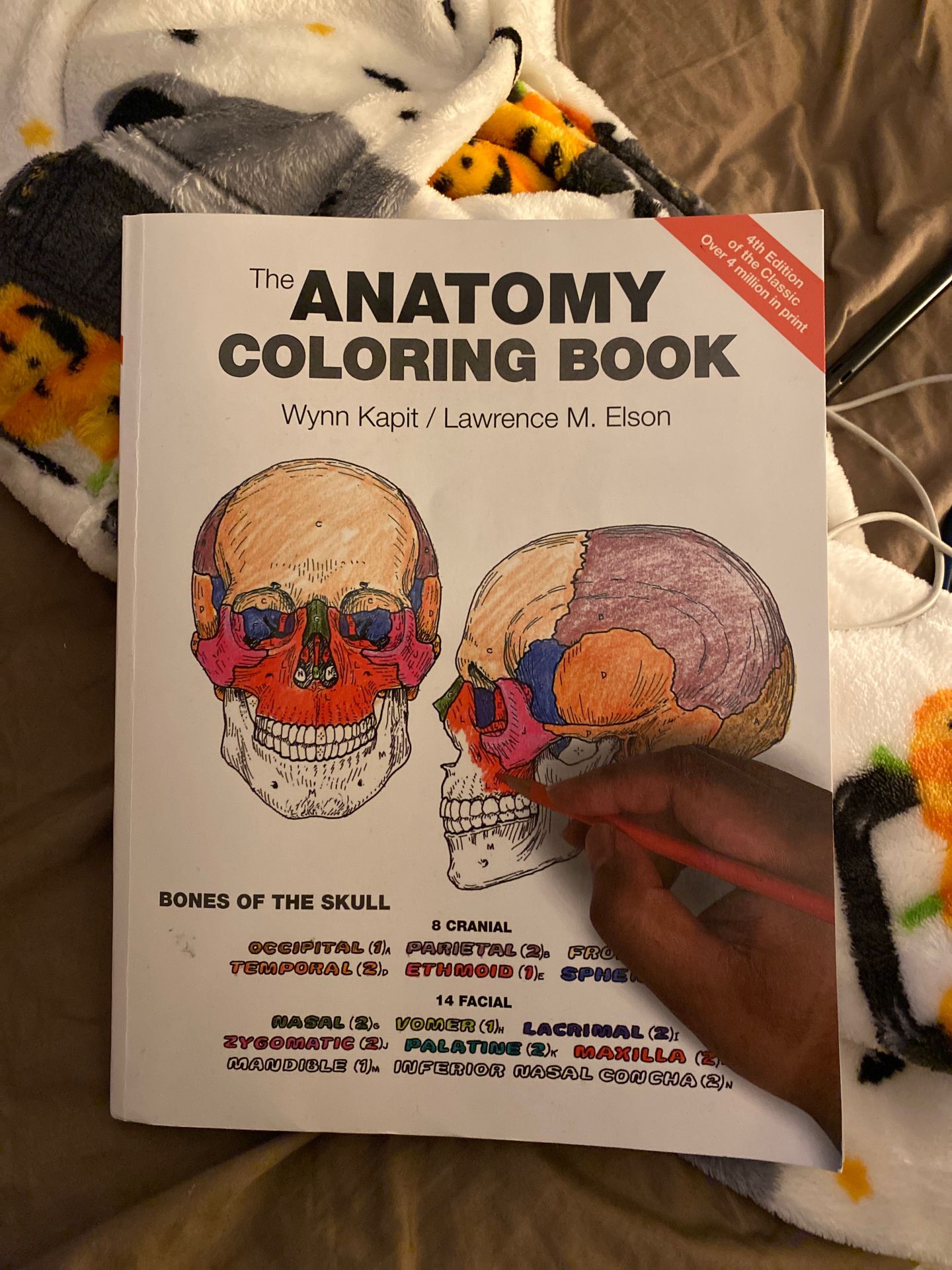 Anatomy book new