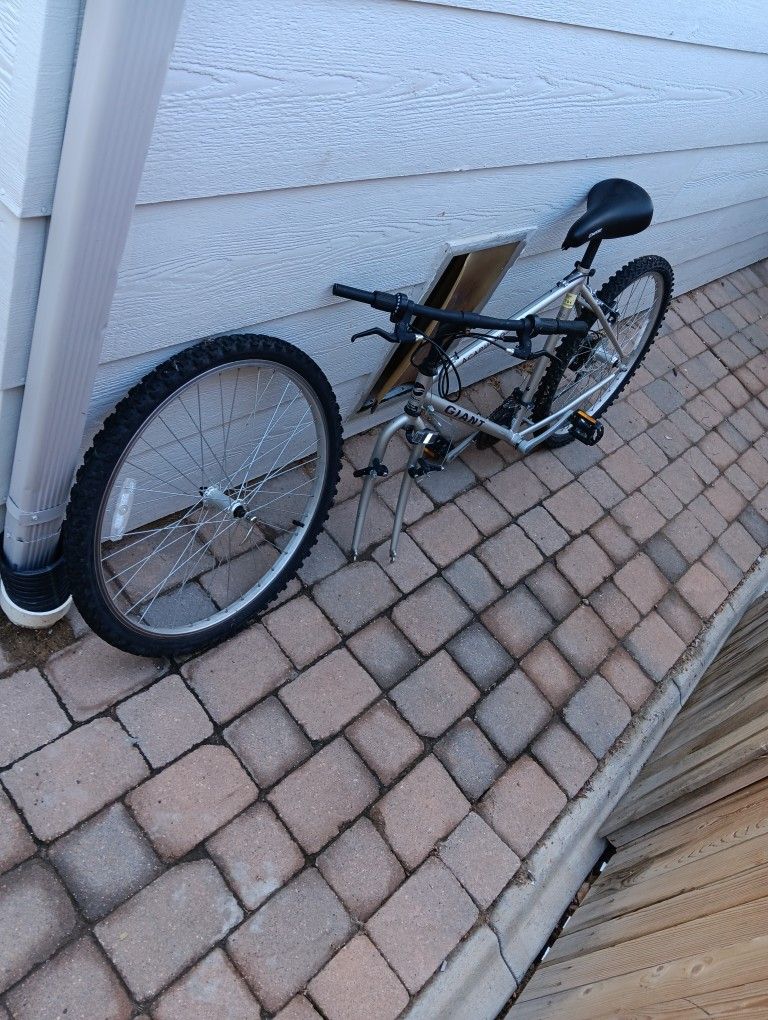 Mountain Bike