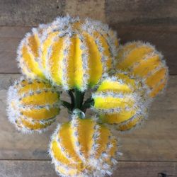Garden artificial pom pom succulent 6”hx5”w NEW