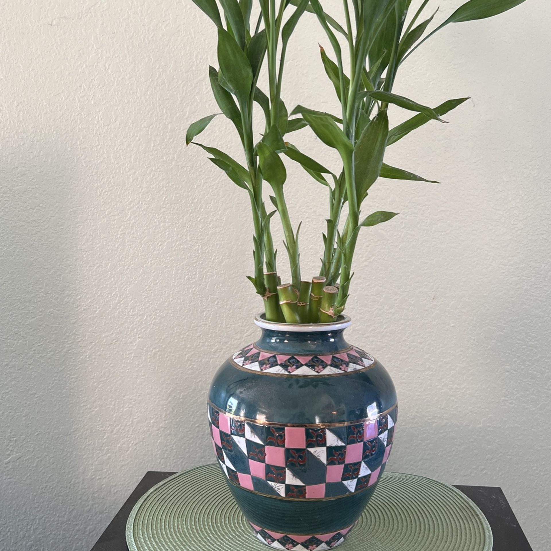 LUCKY BAMBOO PLANT W/ BIG GREEN VASE