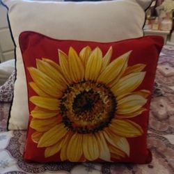 Cute Throw Pillow Like New