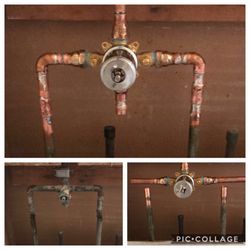 Shower valve