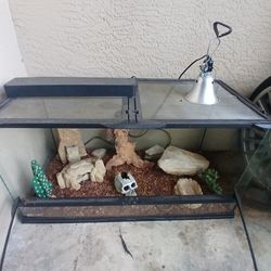 Lizard terrarium perfect Condition
