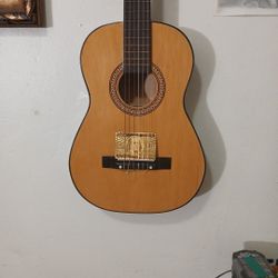 Guitar 