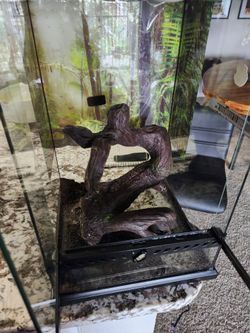 Terrarium w/ heated pad and decorations