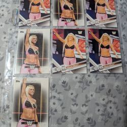 Kelly Kelly Barbie Blank WWE Wrestling Cards Card Lot 