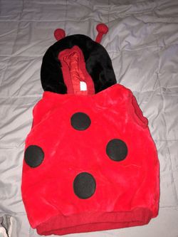 Ladybug 🐞 Halloween Costume