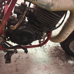 Trike Two Stroke MONSTER