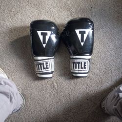 Title Boxing Gloves