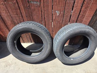Pair of tires Big O Euro Tour