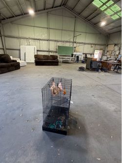 Bird cage