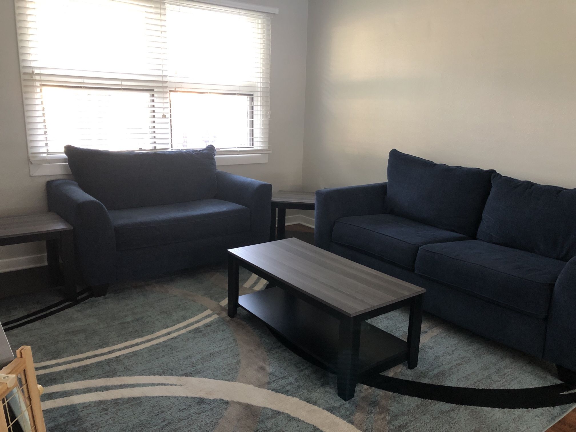 Sofa, Loveseat And Rug - Excellent Condition