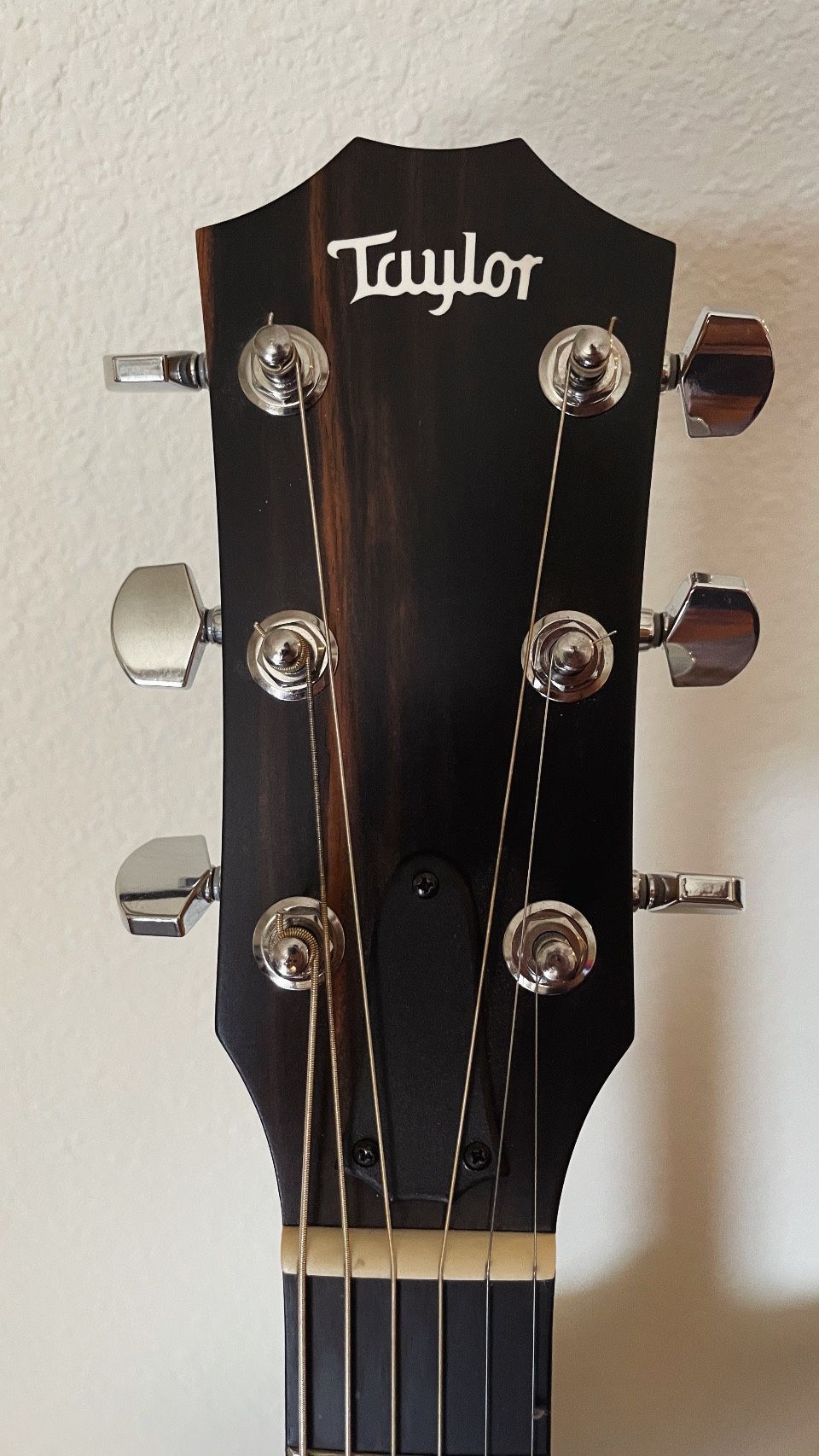 Taylor, 114ce-SB Special Edition