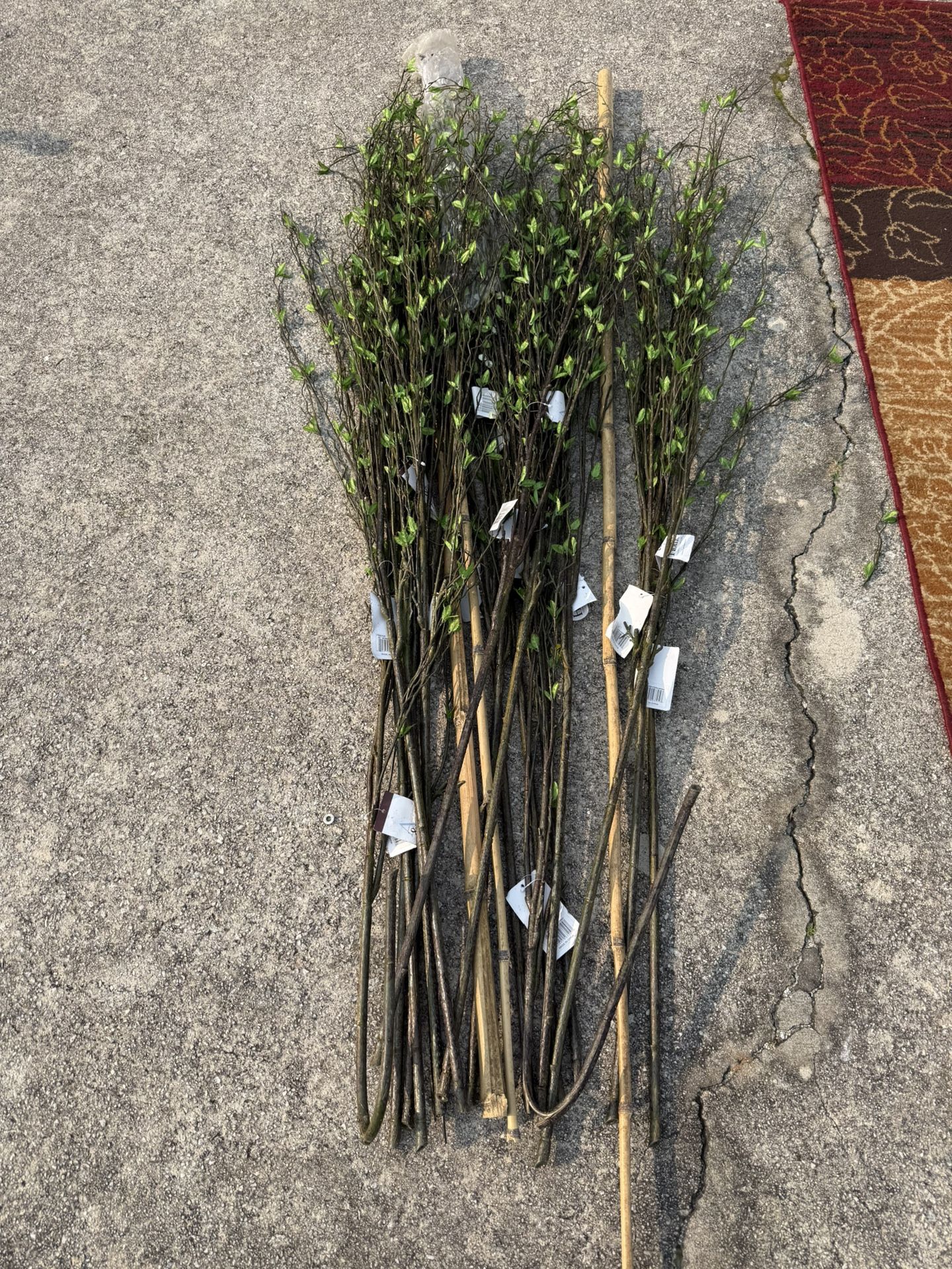 Floor Greenery 6 Feet Or Taller