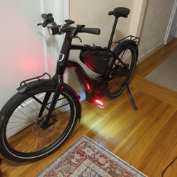 2024 Serial 1 City/Rush Ebike 