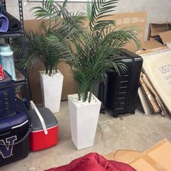 Tall Nearly Natural Ferns 