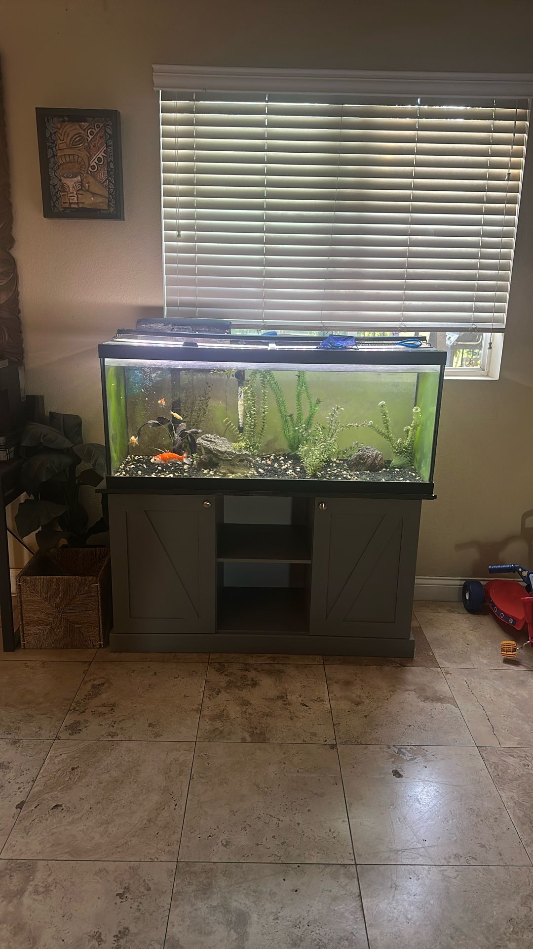 75 Gallon Fish Tank
