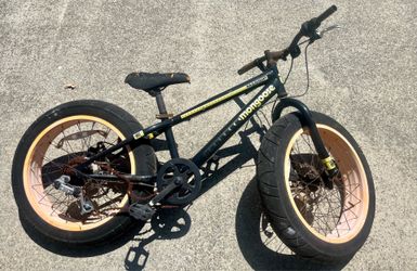 Mongoose fat tire project 20 inch wheels