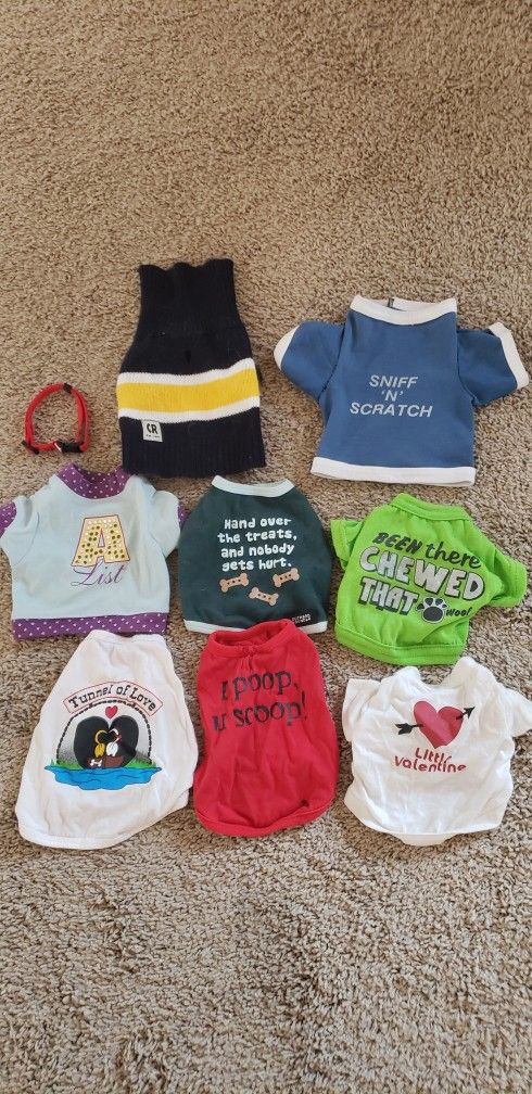 Small Dog Shirts, A Collar