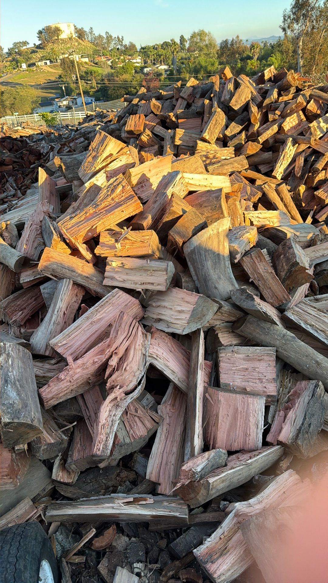 Firewood