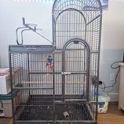 Bird Cage 