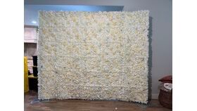 Champagne Back Drop