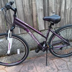 Schwinn Purple Bike
