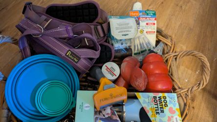 Basket for puppy/dog & gravity feeder