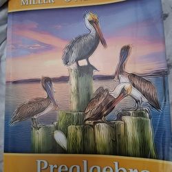 Math Books 